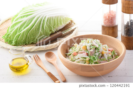 大白菜涼拌高麗菜沙拉(大白菜沙拉) 大白菜涼拌高麗菜沙拉(大白菜沙拉) 120442191