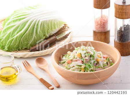 Chinese cabbage coleslaw salad (Chinese cabbage salad) Chinese cabbage coleslaw salad (Chinese cabbage salad) 120442193