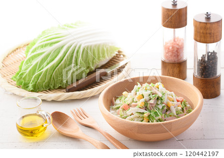 Chinese cabbage coleslaw salad (Chinese cabbage salad) 120442197
