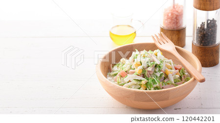 Chinese cabbage coleslaw salad (Chinese cabbage salad) 120442201