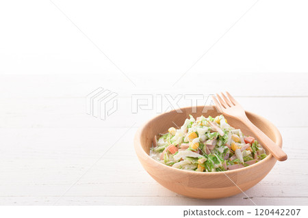 Chinese cabbage coleslaw salad (Chinese cabbage salad) Chinese cabbage coleslaw salad (Chinese cabbage salad) 120442207