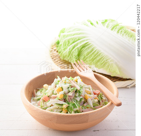 Chinese cabbage coleslaw salad (Chinese cabbage salad) 120442217