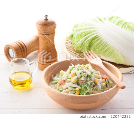 大白菜涼拌高麗菜沙拉(大白菜沙拉) 大白菜涼拌高麗菜沙拉(大白菜沙拉) 120442221