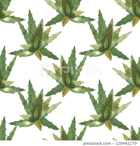 Aloe. Succulents: seamless watercolor pattern on a white background for wrapping paper and print on fabric, home textiles. Home gardening, hobby. Aloe. Succulents: seamless watercolor pattern on a white background for wrapping paper and print on fabric, home textiles. Home gardening, hobby. 120442279