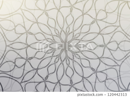 White light black line mandala flower background  120442313