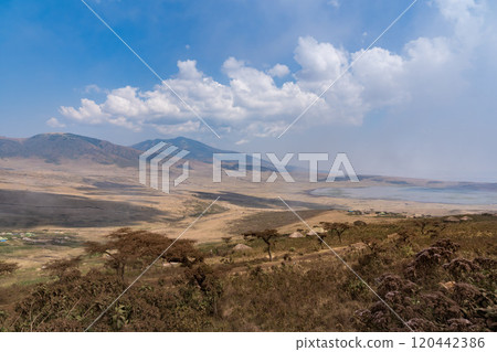 Panoramic view of the Ngorongoro Conservation Area Panoramic view of the Ngorongoro Conservation Area 120442386