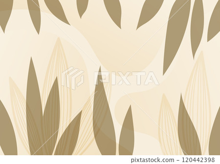 Brown plant art soft line drawing abstract leaf background  120442398
