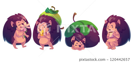 Cartoon hedgehog character set 120442657