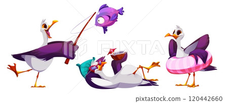 Cute seagull characters set isolated on white Cute seagull characters set isolated on white 120442660