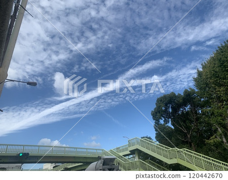 Scale cloud, scale cloud, sky, sunny, sun, blue sky, footbridge, plants Scale cloud, scale cloud, sky, sunny, sun, blue sky, footbridge, plants 120442670