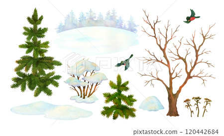 Set of watercolor cartoon nature elements. Winter landscape constructor. Isolated leafless tree, bush, fir, snowdrift, bullfinch, coniferous forest silhouette for season background or scene creating Set of watercolor cartoon nature elements. Winter landscape constructor. Isolated leafless tree, bush, fir, snowdrift, bullfinch, coniferous forest silhouette for season background or scene creating 120442684