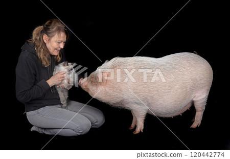 siberian cat, woman and pig in studio 120442774