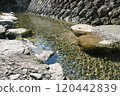 Butt-Butt River (Wakayama) 120442839
