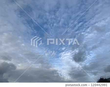 鱗片雲 鱗片雲 雲 天空 晴朗的天空 清澈的藍天 120442991