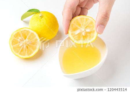 White background Yuzu juice freshly squeezed White background Yuzu juice freshly squeezed 120443514