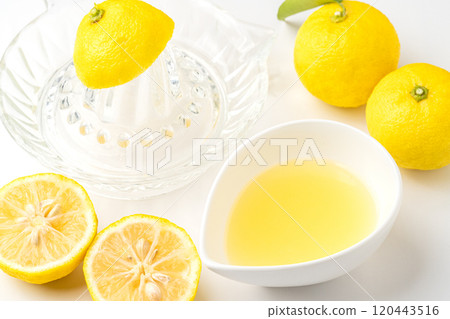 White background Yuzu juice freshly squeezed White background Yuzu juice freshly squeezed 120443516