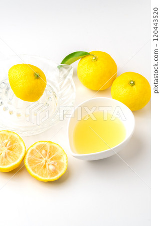 White background Yuzu juice freshly squeezed White background Yuzu juice freshly squeezed 120443520
