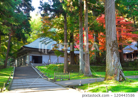 Autumn, Oshu, Hiraizumi, Chusonji Temple, Golden Hall 120443586
