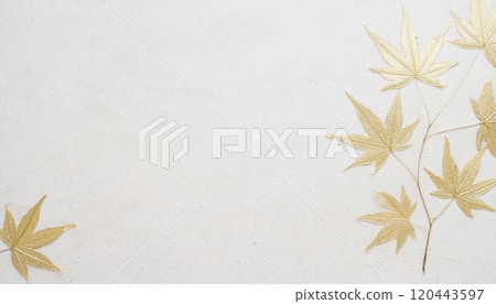 [Background material] White Japanese paper with a gold maple leaf pattern 120443597
