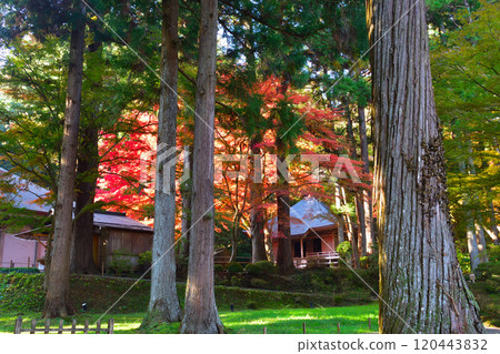 Autumn, Oshu, Hiraizumi, Chusonji Temple, Sutra repository Autumn, Oshu, Hiraizumi, Chusonji Temple, Sutra repository 120443832
