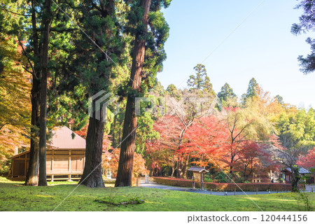 World Heritage Site Chusonji Temple: Shakado and Benzaiten Hall on a refreshing morning in Iwate Prefecture 120444156