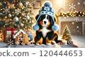 伯恩山犬坐在聖誕樹旁微笑 120444653