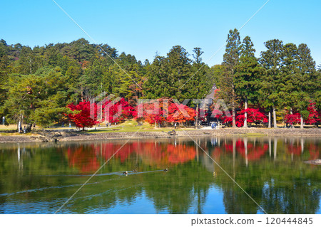 Autumn Motsuji Temple Oizumigaike Pond 120444845