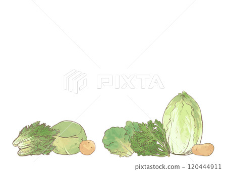 Vegetable illustration set hand-drawn _ potato, chrysanthemum, Chinese cabbage, cabbage, lettuce, mizuna _ white background _ copy space 120444911