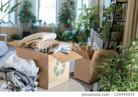 Pile of clothes in cardboard box donating for recycling reusing at living room with houseplant 120444935