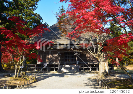 Autumn: Motsuji Temple, Oizumigaike Pond, Jyogyodo Hall 120445052