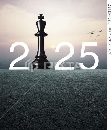 Happy new year 2025 strategy and success concept Happy new year 2025 strategy and success concept 120445157
