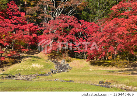 Mogoshi-ji tempered water 120445469