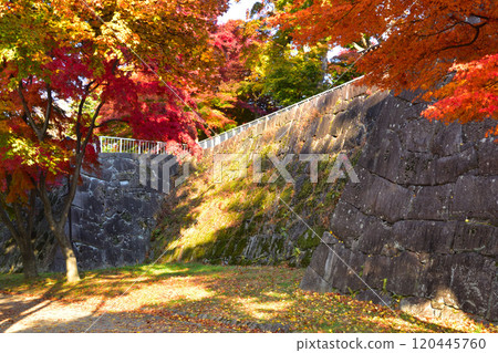秋天的盛岡城跡公園 120445760