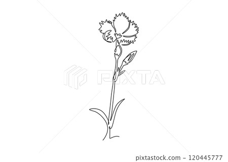 Continuous one line drawing beauty fresh dianthus for home decor poster wall art. Printable decorative carnation flower for wedding invitation card. Single line draw design vector graphic illustration 120445777
