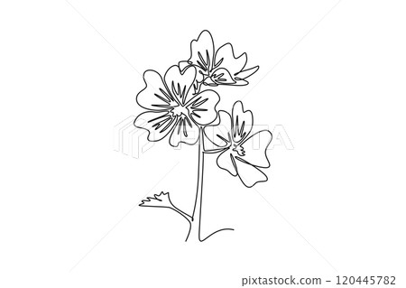 Continuous one line drawing beauty fresh purple mallow for home decor poster wall art. Decorative malva sylvestris flower wedding invitation card. Single line draw design vector graphic illustration Continuous one line drawing beauty fresh purple mallow for home decor poster wall art. Decorative malva sylvestris flower wedding invitation card. Single line draw design vector graphic illustration 120445782