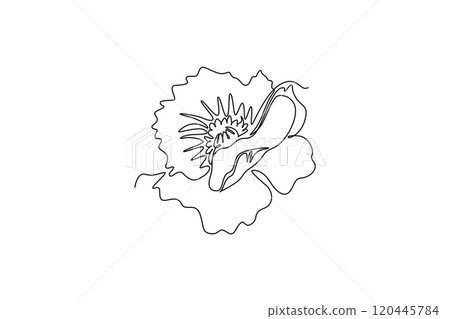 Single continuous line drawing beautiful abstract poppy flower. Minimal fresh beauty natural concept. Home wall decor, poster, tote bag, fabric print. One line draw graphic design vector illustration Single continuous line drawing beautiful abstract poppy flower. Minimal fresh beauty natural concept. Home wall decor, poster, tote bag, fabric print. One line draw graphic design vector illustration 120445784