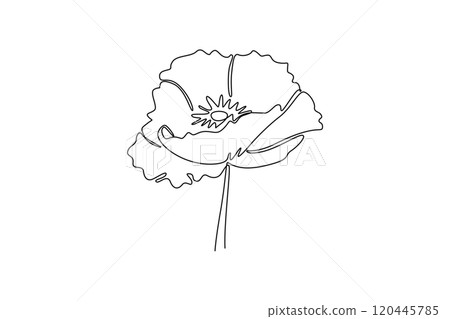 Single continuous line drawing beauty fresh flowering plant for home wall decor poster art. Printable decorative poppy flower for symbol remembrance. One line draw graphic design vector illustration Single continuous line drawing beauty fresh flowering plant for home wall decor poster art. Printable decorative poppy flower for symbol remembrance. One line draw graphic design vector illustration 120445785