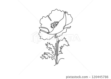Single continuous line drawing beauty fresh herbaceous plant for home decor wall art poster. Printable decorative poppy flower symbol of remembrance. One line draw graphic design vector illustration Single continuous line drawing beauty fresh herbaceous plant for home decor wall art poster. Printable decorative poppy flower symbol of remembrance. One line draw graphic design vector illustration 120445786