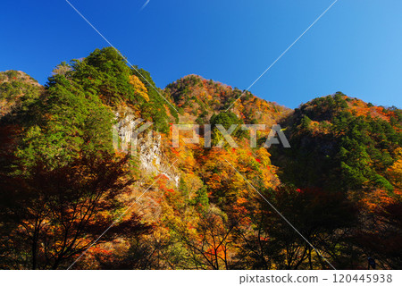 Nakazu峽谷秋葉 120445938