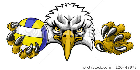Eagle Hawk Bird Volleyball Volley Ball Mascot Eagle Hawk Bird Volleyball Volley Ball Mascot 120445975