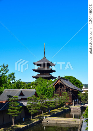 京都Toji 120446008