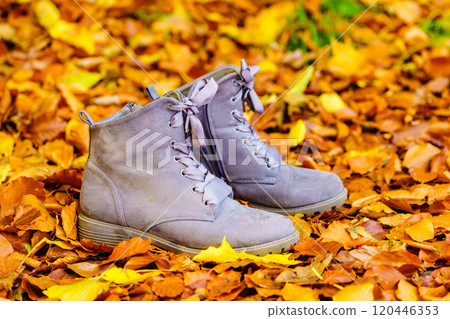 Boots, grey autumn shoes 120446353
