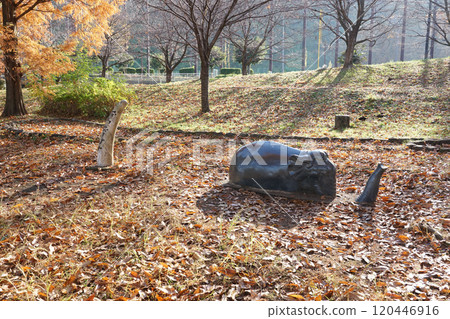 秋高氣爽的阿須體育公園,古廣場上的曙象(埼玉縣飯能市) 秋高氣爽的阿須體育公園,古廣場上的曙象(埼玉縣飯能市) 120446916