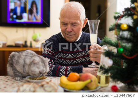 Older man with gray cat sitting at home table at Christmas 120447607