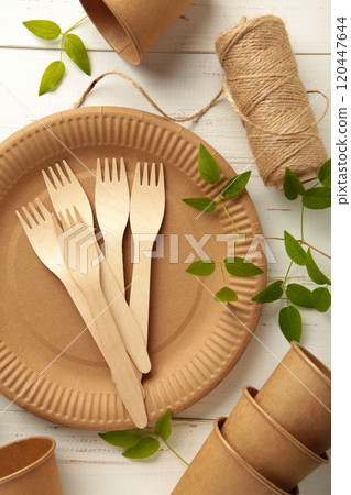 Eco friendly disposable dishes with green leaves on white background. Plastic free background. 120447644