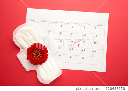 Menstruation calendar with pads on red background. Woman critical days, woman hygiene protection. Menstrual pain Menstruation calendar with pads on red background. Woman critical days, woman hygiene protection. Menstrual pain 120447650