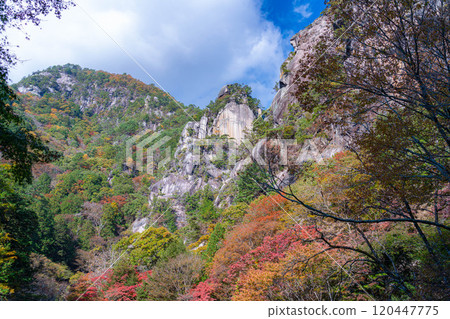 [Autumn leaves] Autumn leaves of Kakuenbo, the symbol of Shosenkyo [Yamanashi Prefecture] 120447775