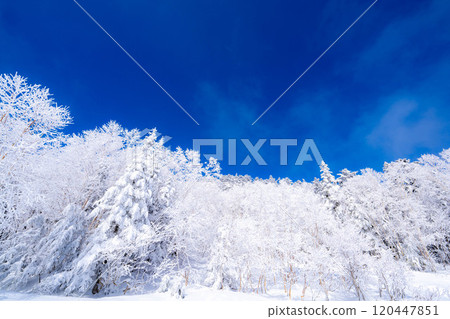 [白霜的材質]白與藍、白霜與藍天的世界[長野縣] 120447851