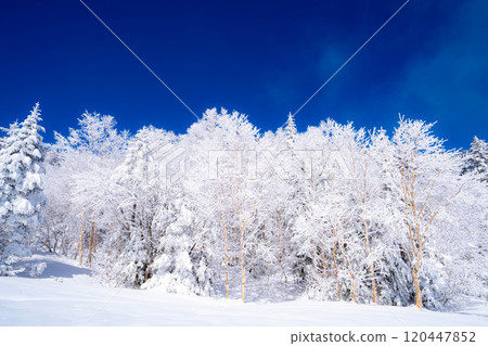 [白霜的材質]白與藍、白霜與藍天的世界[長野縣] 120447852