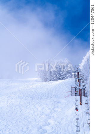 [Material of hoarfrost] A world of white and blue, hoarfrost and blue sky [Nagano Prefecture] 120447861